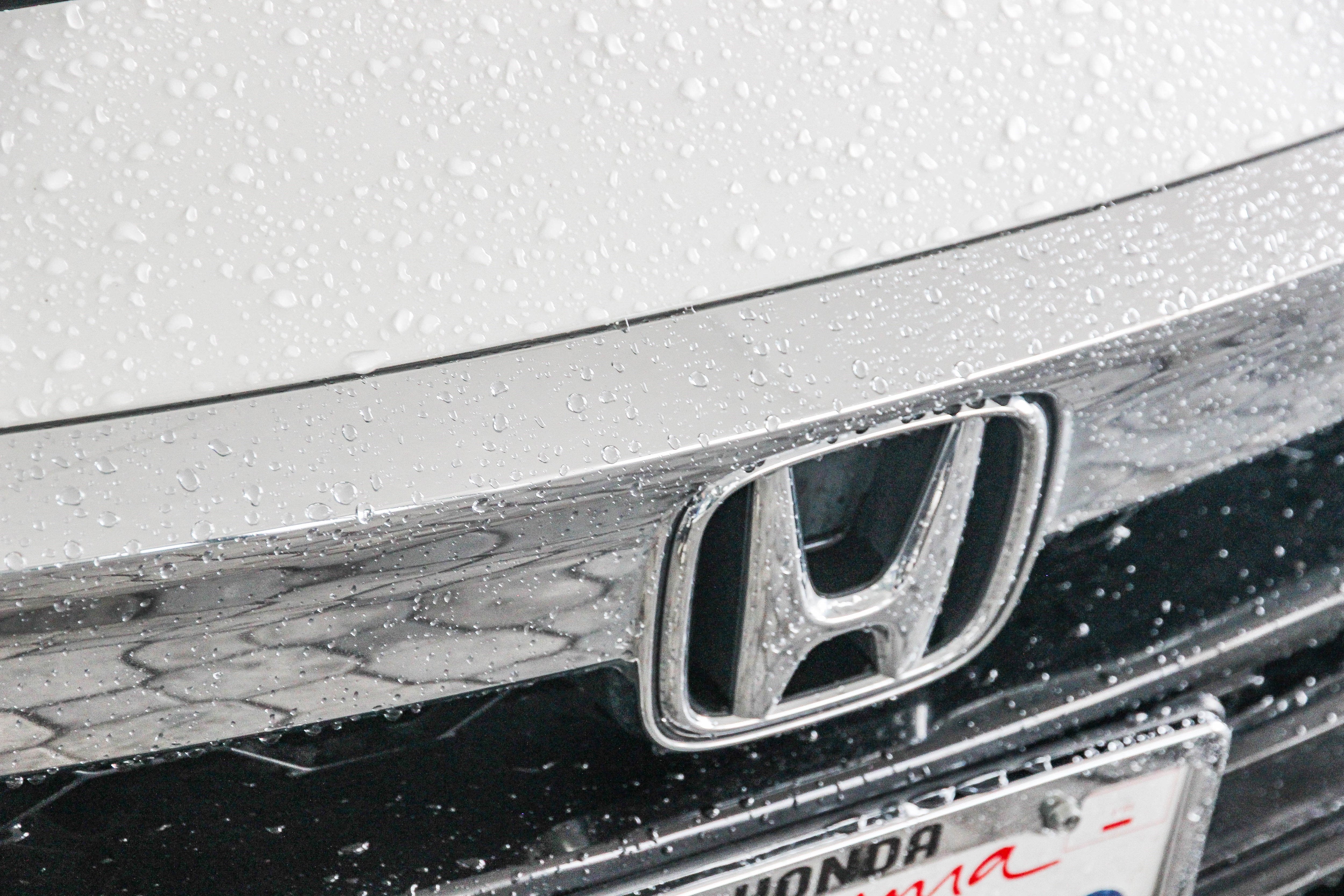 2019 Honda Accord EX-L