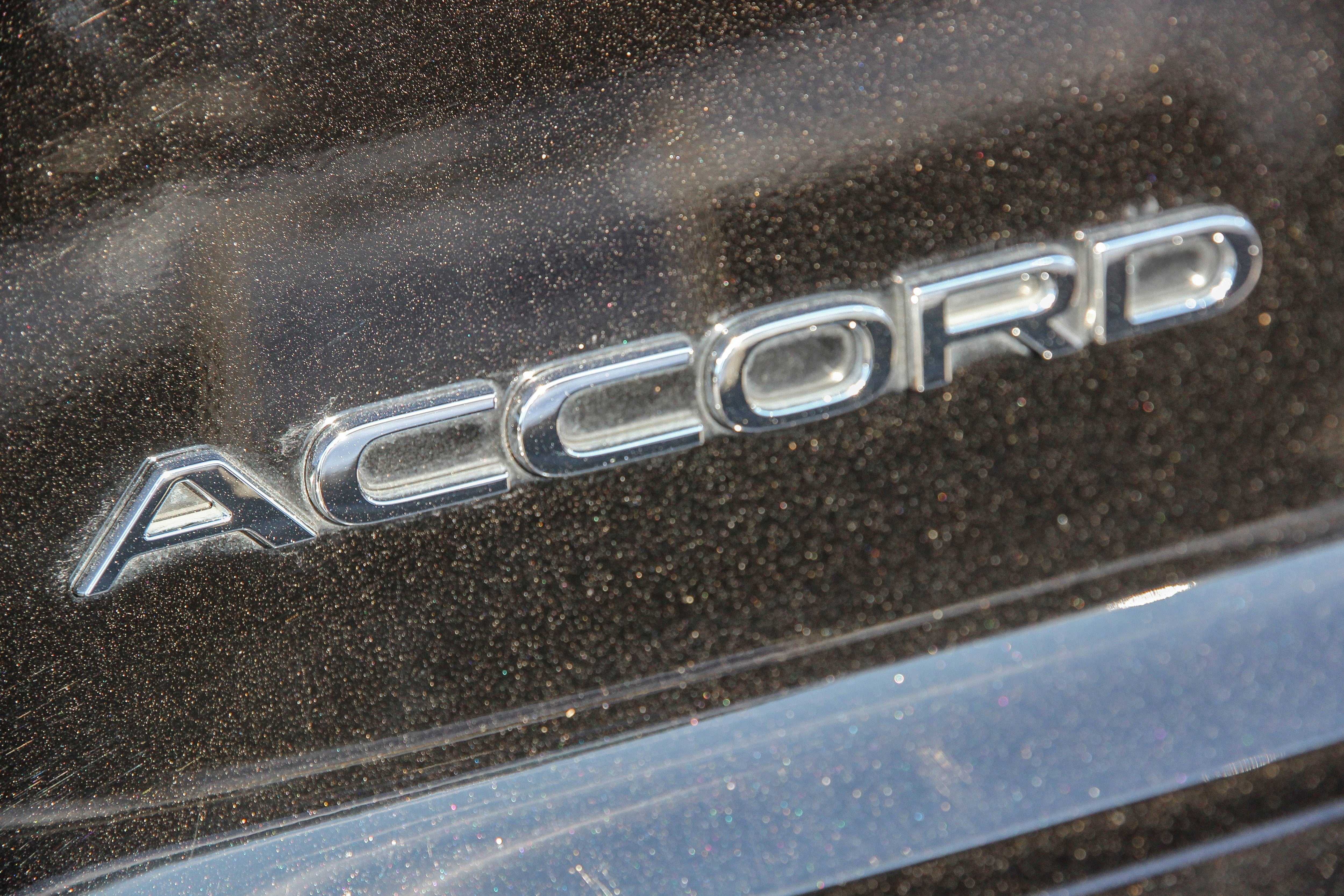 2025 Honda Accord Sport