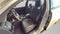2026 Honda Accord Sport-L